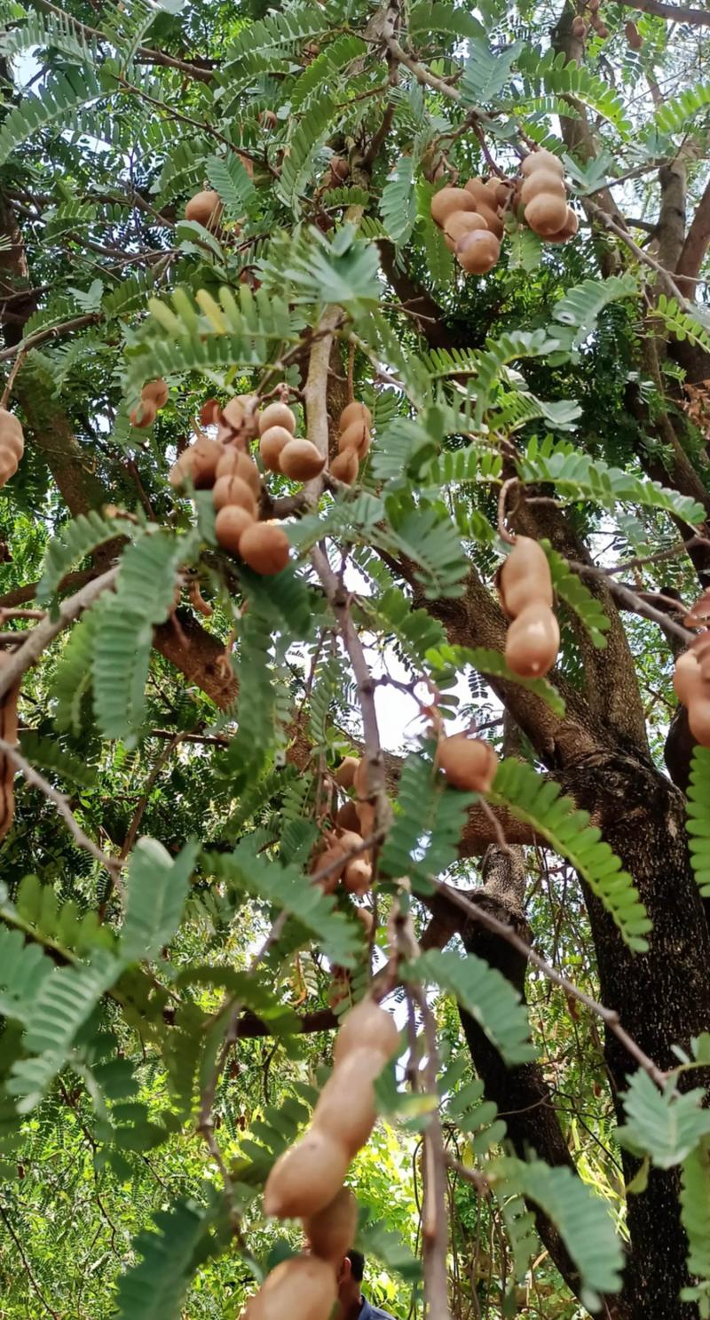 生鲜配送