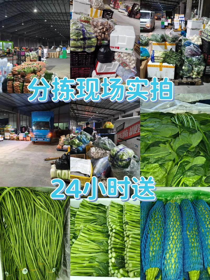如何在家轻松享用新鲜美味的蔬菜？