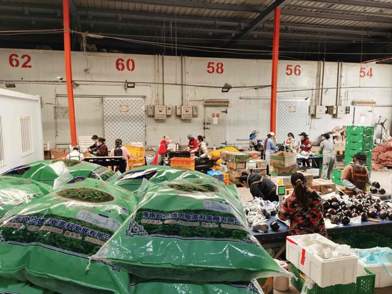 昆明蔬菜配送业发展迅速 全方位助力市民餐桌新鲜升级